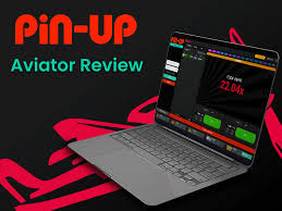 Sitio web de las autoridades de Pin Up Gambling Enterprise Perú